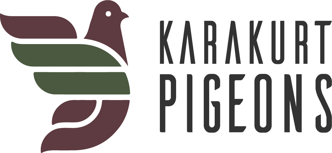 karakurtpigeons.com